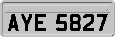 AYE5827