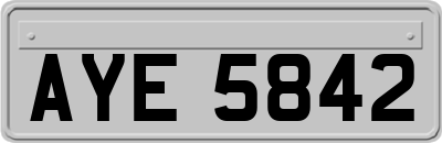 AYE5842