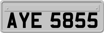 AYE5855