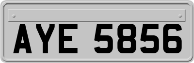AYE5856