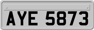 AYE5873