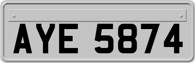 AYE5874