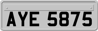 AYE5875