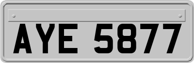AYE5877