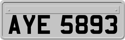 AYE5893