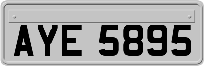 AYE5895