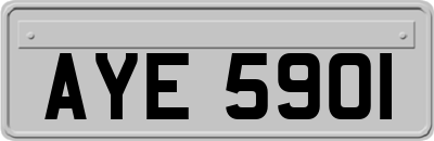AYE5901