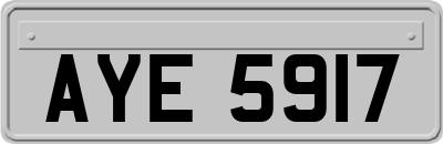 AYE5917