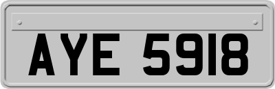 AYE5918