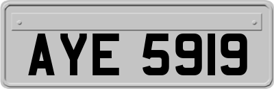 AYE5919