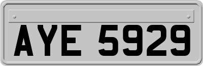 AYE5929