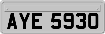 AYE5930
