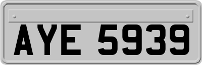 AYE5939