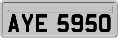 AYE5950
