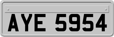 AYE5954