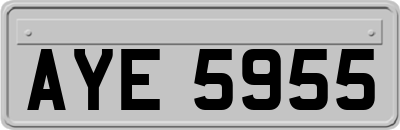 AYE5955