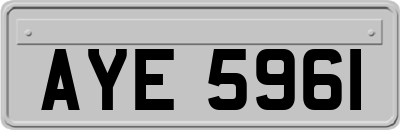 AYE5961