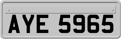 AYE5965