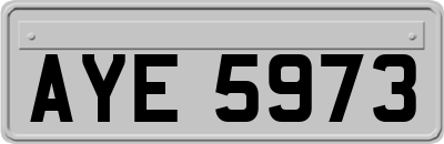 AYE5973