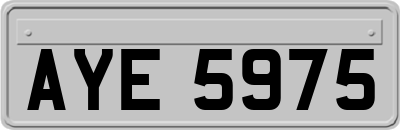 AYE5975
