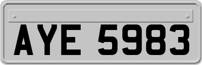 AYE5983