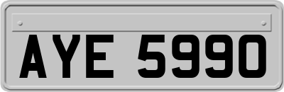 AYE5990