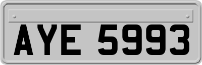 AYE5993