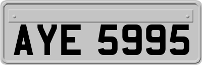 AYE5995