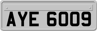 AYE6009