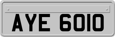 AYE6010