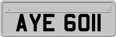 AYE6011