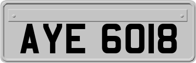 AYE6018