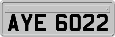 AYE6022