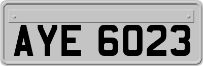 AYE6023