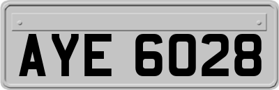 AYE6028