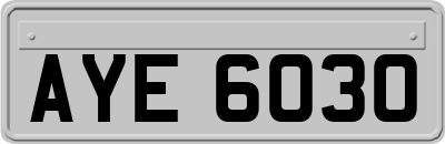 AYE6030