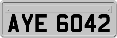 AYE6042