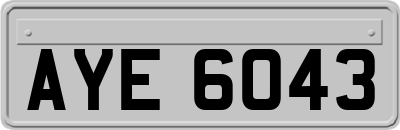 AYE6043