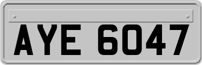 AYE6047