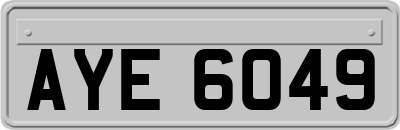 AYE6049