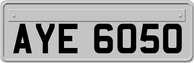 AYE6050