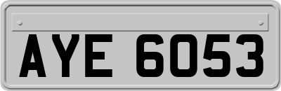 AYE6053