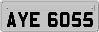 AYE6055