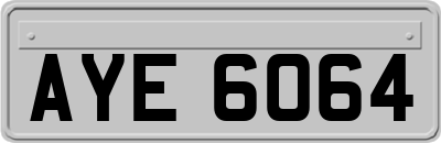 AYE6064