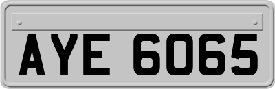 AYE6065