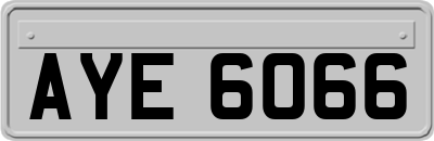 AYE6066