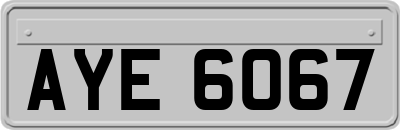 AYE6067