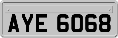 AYE6068