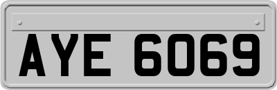 AYE6069