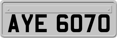 AYE6070